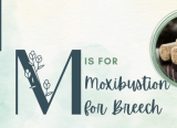 Photo of M is for Moxibustion for Breech