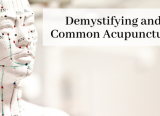 Photo of Demystifying and Defining Common Acupuncture Terms
