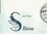 Photo of S is for Stress
