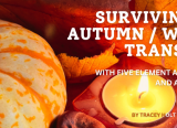 Photo of Surviving the Autumn / Winter with Five Element Acupuncture...