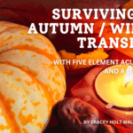 Autumn scene with candle and pumpkin