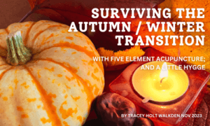Autumn scene with candle and pumpkin